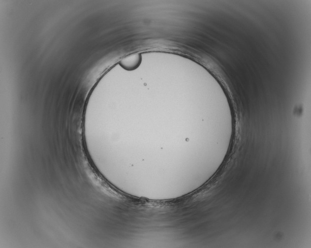 X0000111670954200908071454