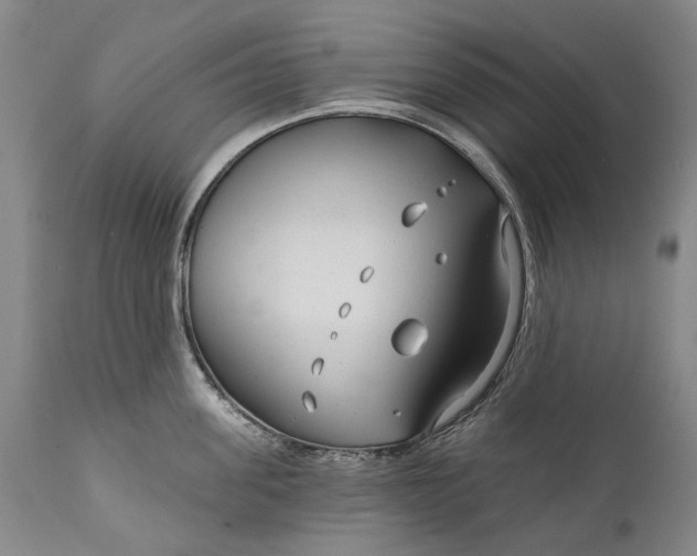 X0000111670955200908071454