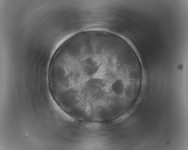 X0000111670957200908071454