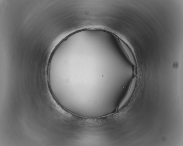 X0000111670959200908071454