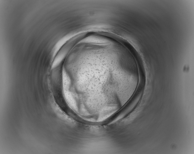 X0000111670960200908071454