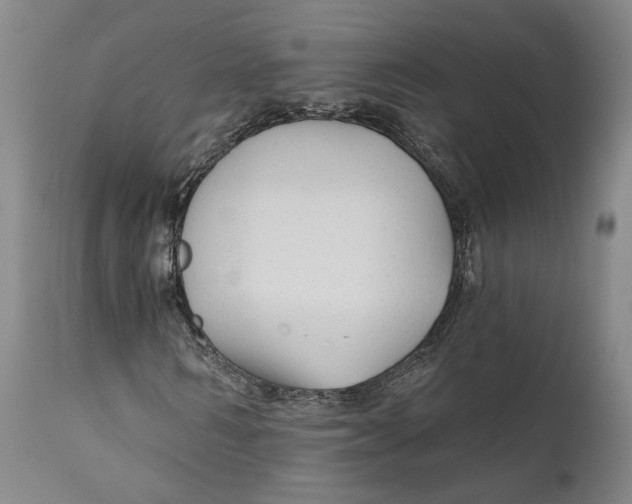 X0000111670962200908071453