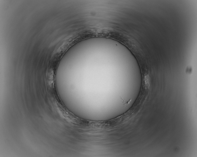 X0000111670963200908071453