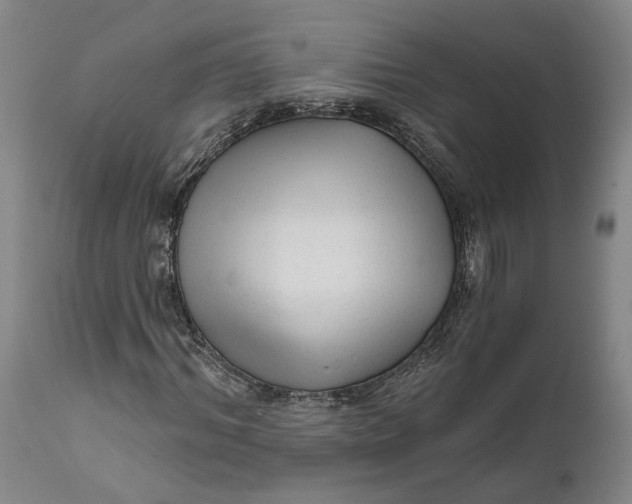 X0000111670964200908071453