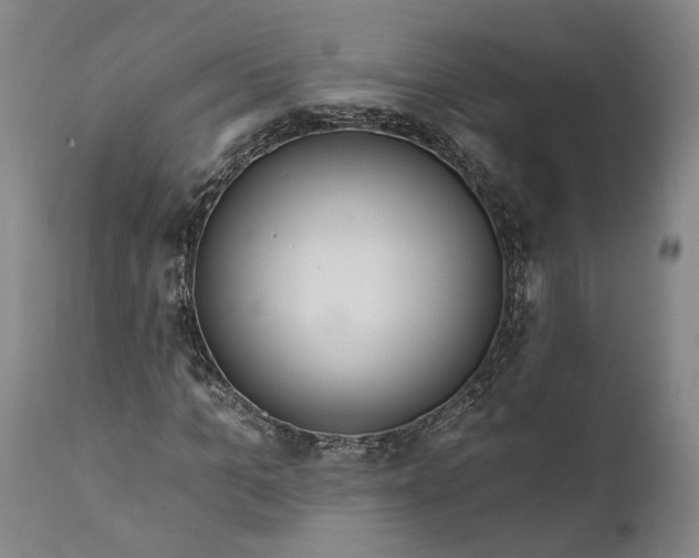 X0000111670965200908071453