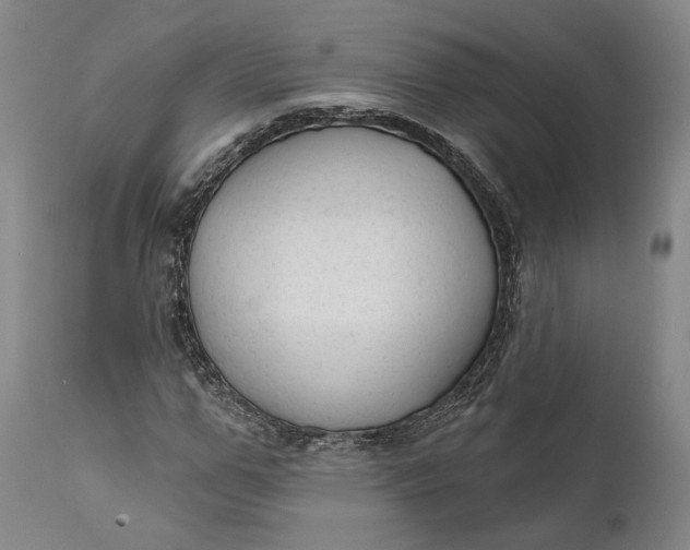 X0000111670967200908071453