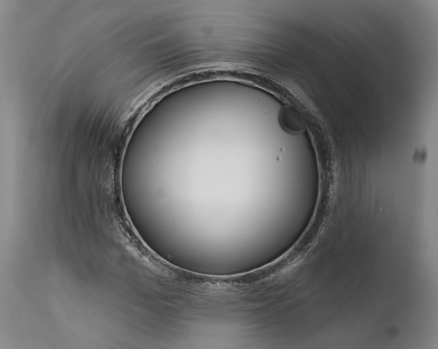 X0000111670969200908071453