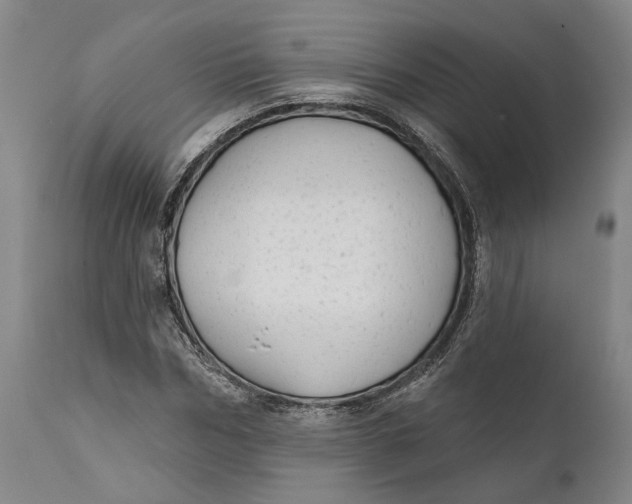 X0000111670970200908071453