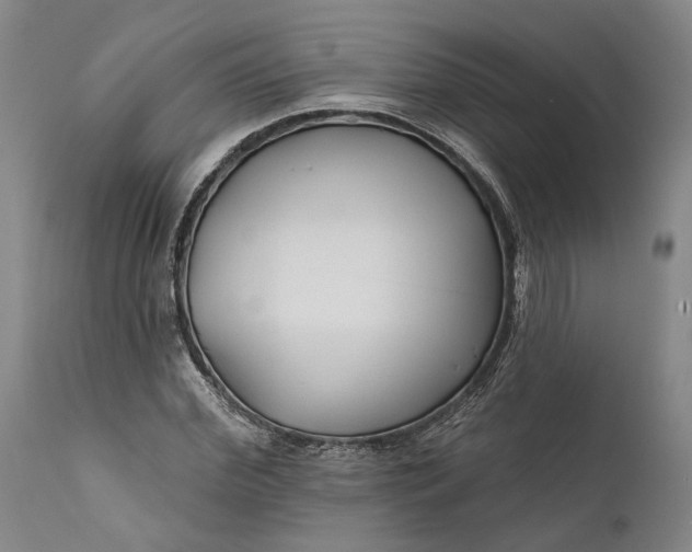 X0000111670972200908071453