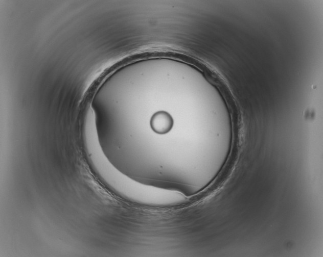 X0000111670973200908071453