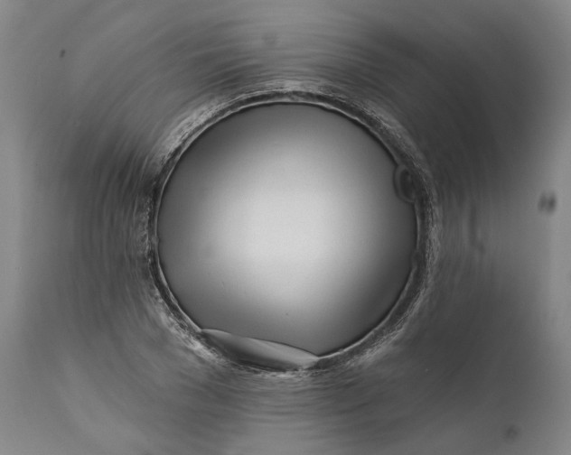 X0000111670977200908071453