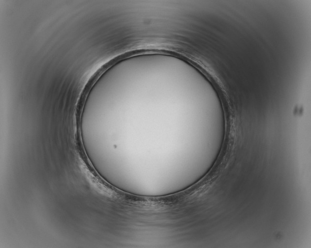 X0000111670980200908071453