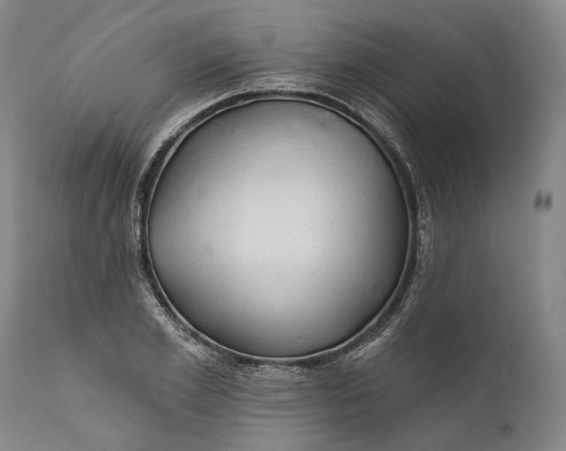 X0000111670981200908071453