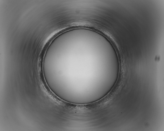 X0000111670983200908071453