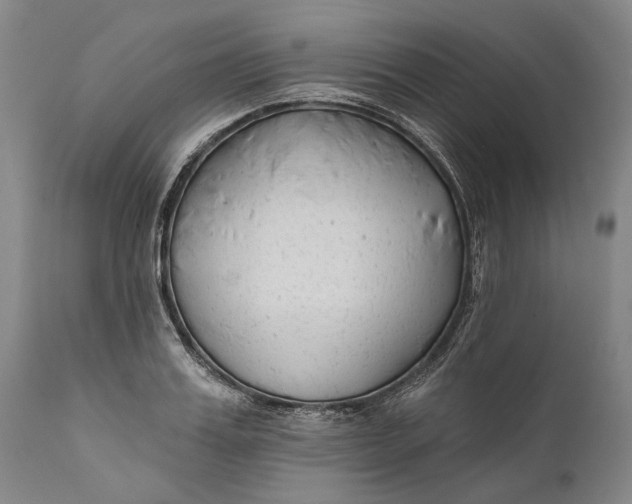 X0000111670987200908071453