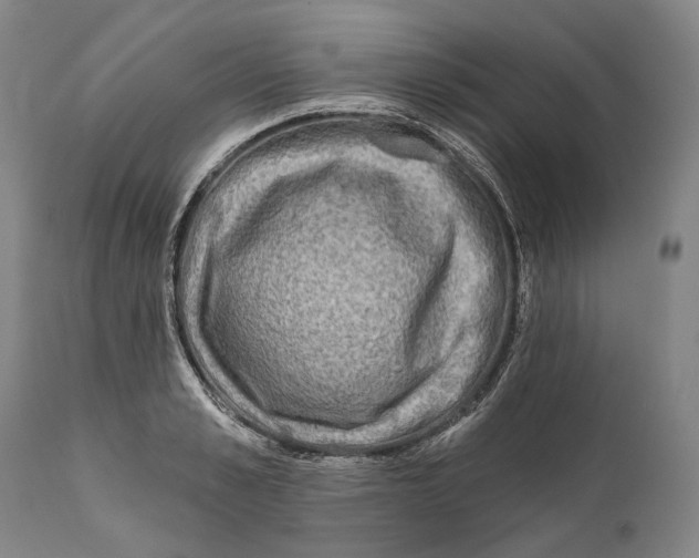 X0000111670989200908071453