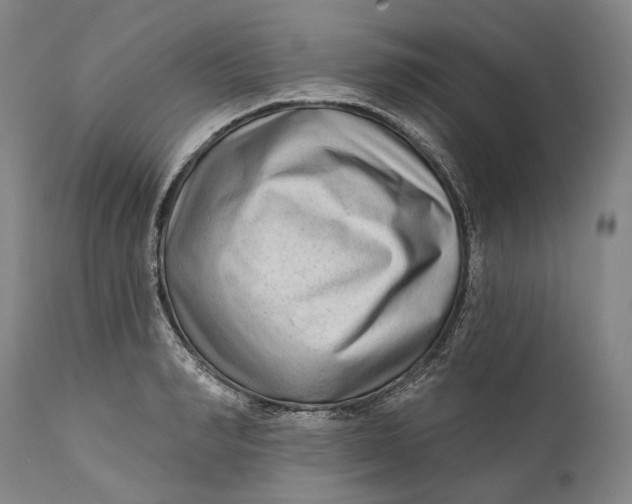 X0000111670990200908071453