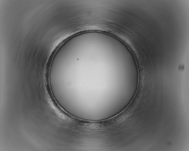 X0000111670991200908071453