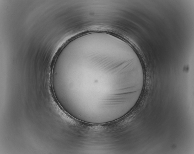 X0000111670992200908071453