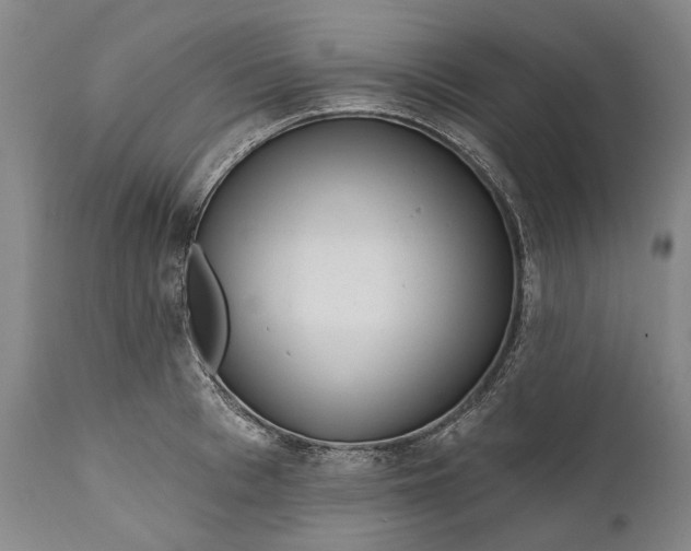 X0000111670993200908071453