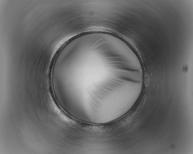 X0000111670995200908071453