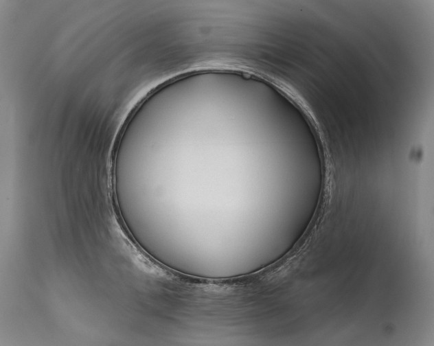 X0000111670996200908071453