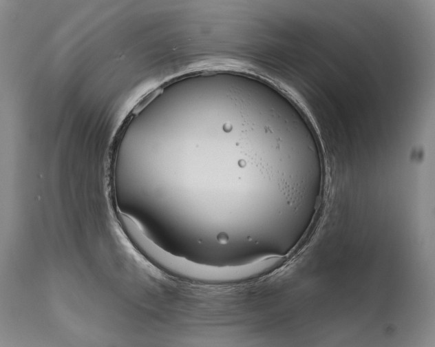 X0000111670997200908071453