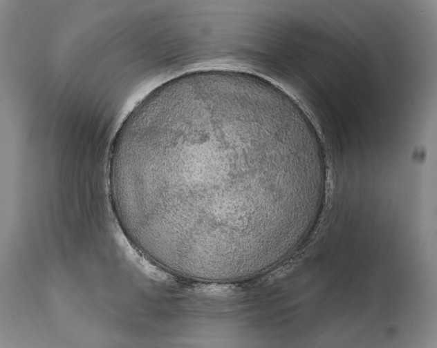 X0000111670998200908071453