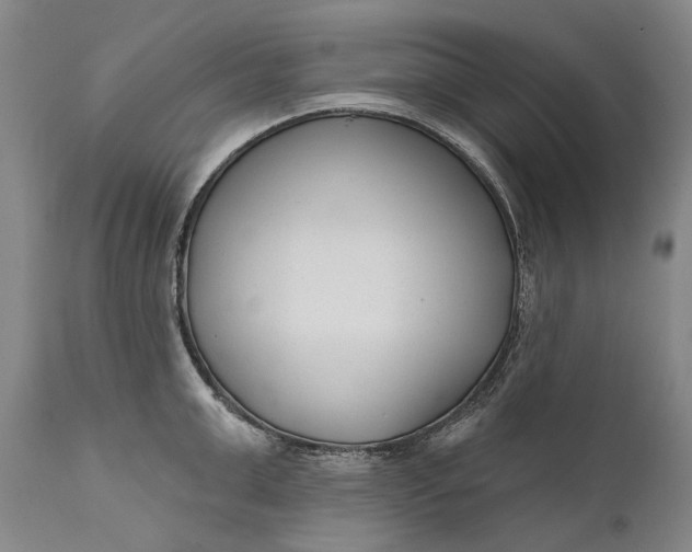 X0000111670999200908071453