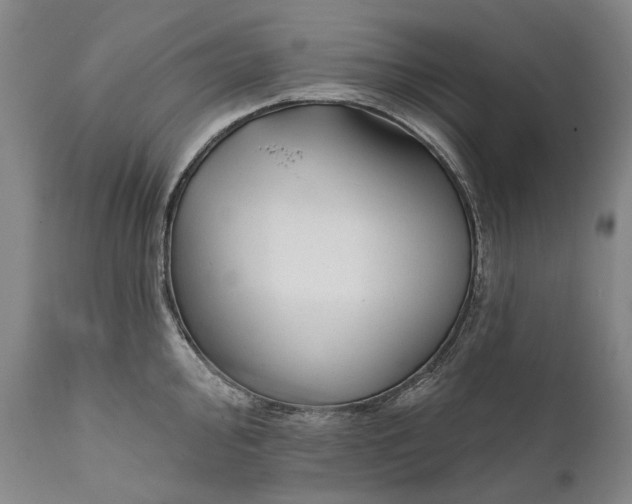 X0000111671000200908071453