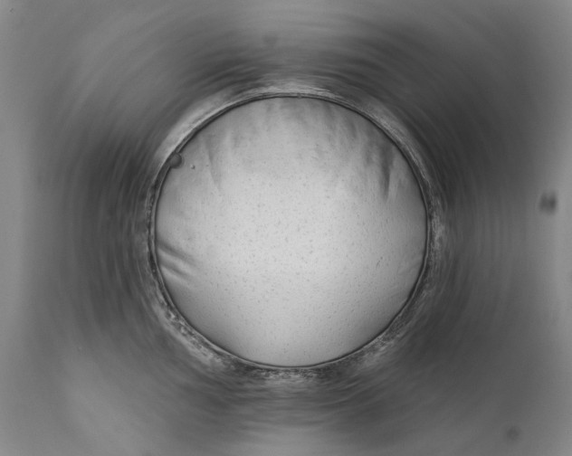 X0000111671002200908071453