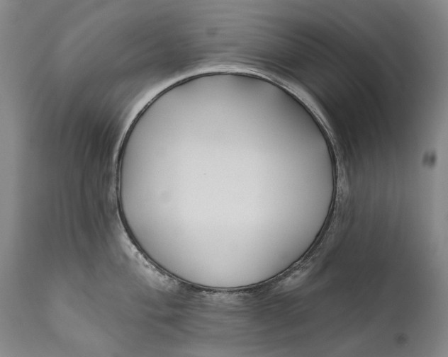 X0000111671004200908071453