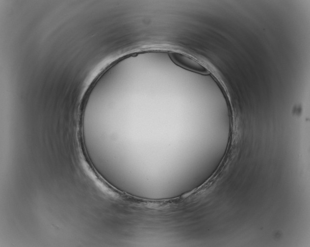 X0000111671005200908071453