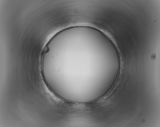 X0000111671006200908071453