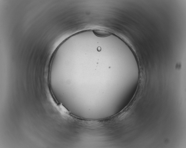 X0000111671007200908071453