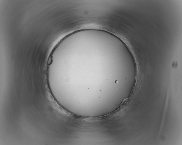 X0000111671008200908071453