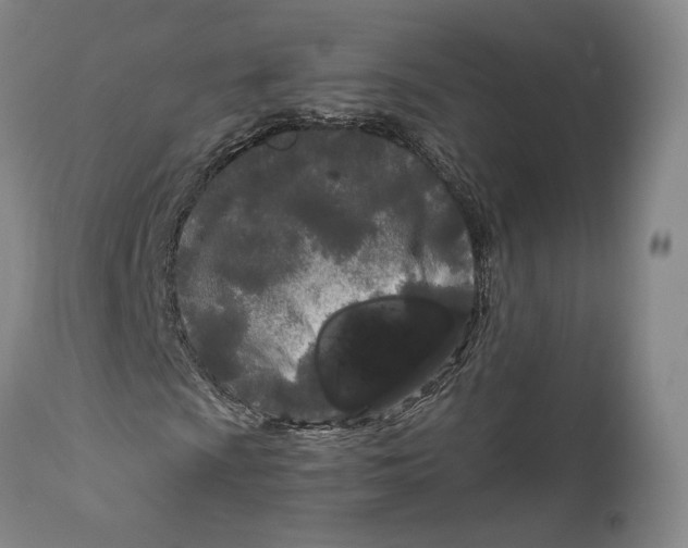 X0000111671009200908071452