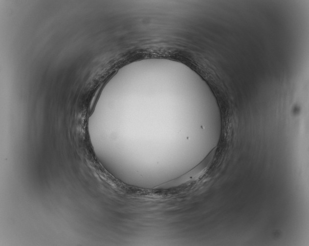 X0000111671010200908071452