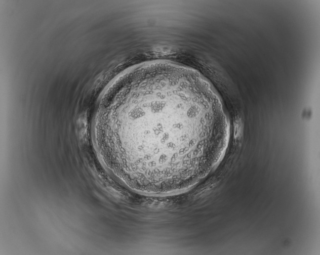 X0000111671011200908071452