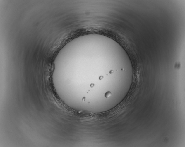 X0000111671012200908071452