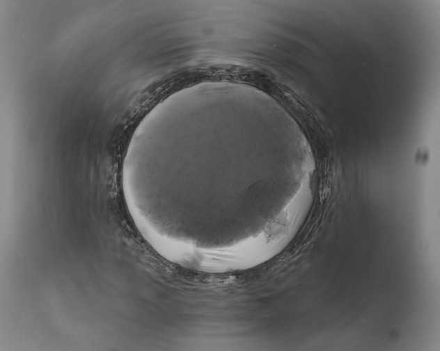 X0000111671013200908071452