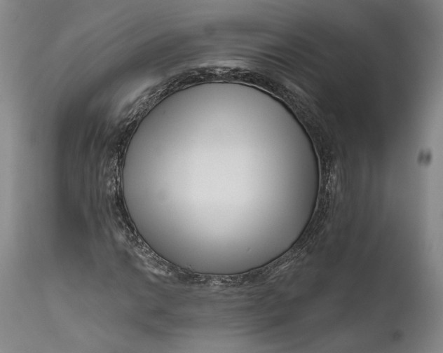 X0000111671014200908071452