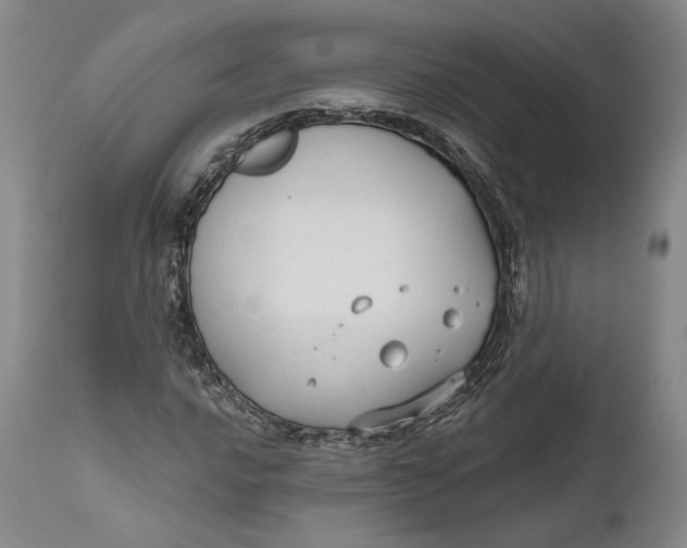 X0000111671016200908071452