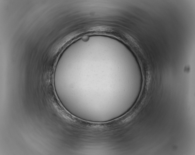 X0000111671017200908071452