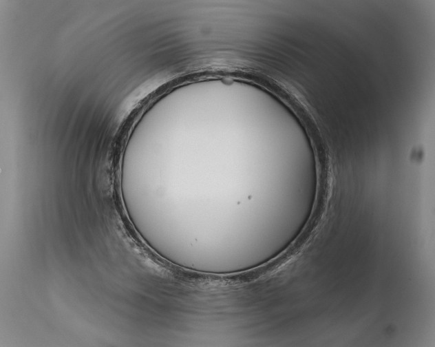 X0000111671018200908071452