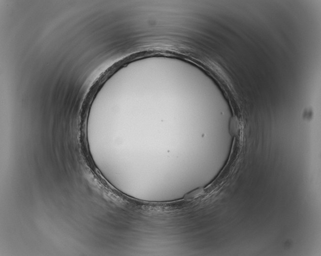 X0000111671020200908071452