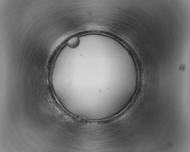 X0000111671022200908071452