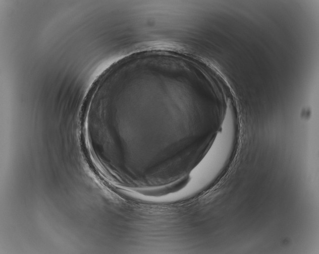 X0000111671024200908071452