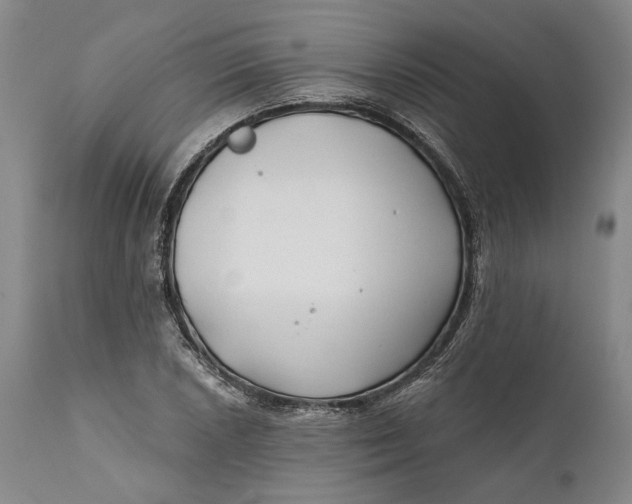 X0000111671026200908071452