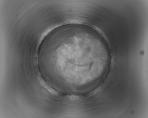 X0000111671027200908071452